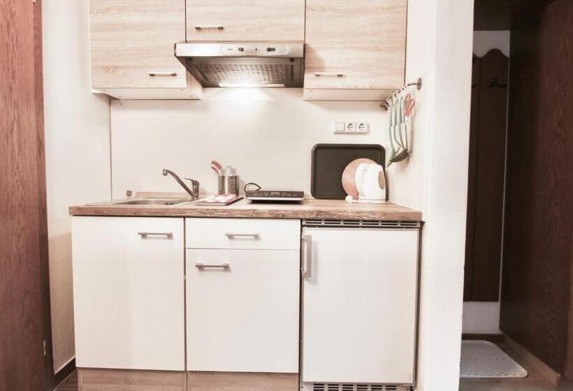 Standard Studio, Alpenhaus Monte