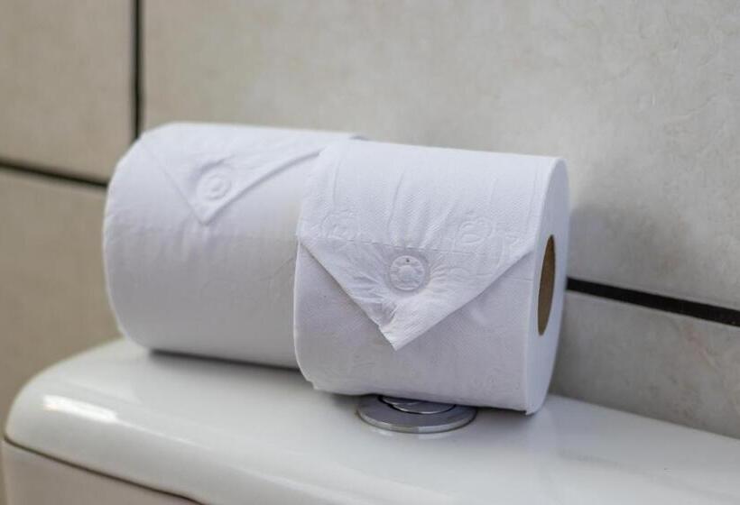 Номер Стандарт Индивидуальный, Pousada Vale Dos Tamanduás