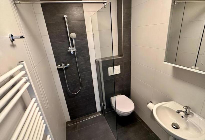 デラックストリプルルーム, Třeboňský Penzion