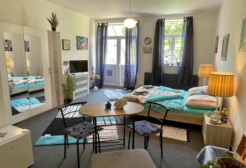 带阳台的豪华间, Penzion Villa Amélie