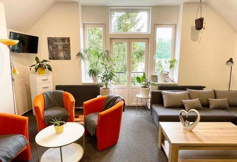 Апартаменты 1 Спальня с Балконом, Penzion Villa Amélie