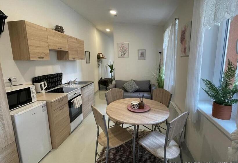 带1个卧室的带阳台的公寓, Penzion Villa Amélie