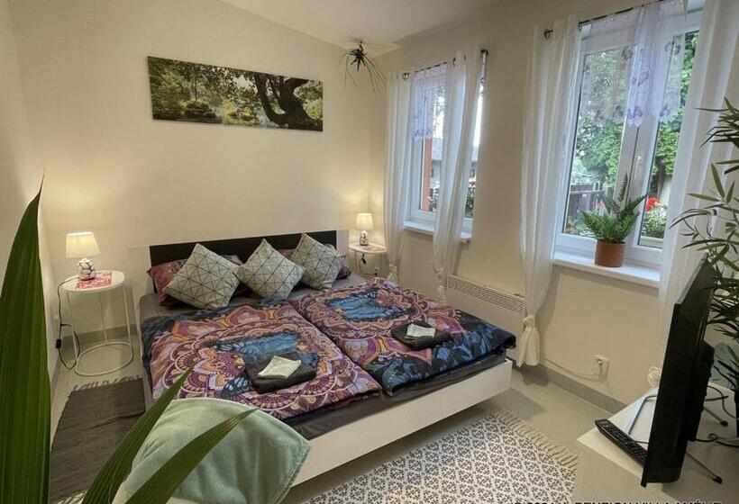 Апартаменты 1 Спальня с Террасой, Penzion Villa Amélie