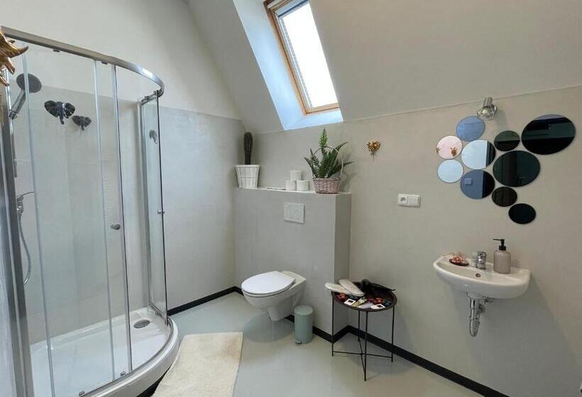 标准间带阳台, Penzion Villa Amélie