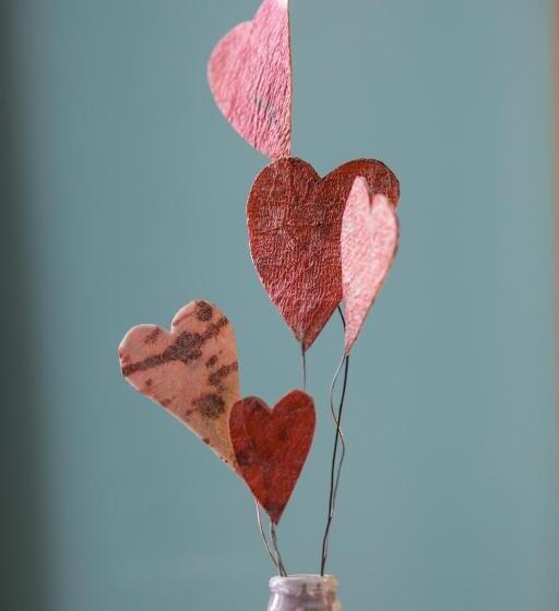 ガーデンビュースタンダードルーム, Alianthos Garden