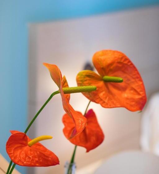 サイドオーシャンビュースタンダードルーム, Alianthos Garden