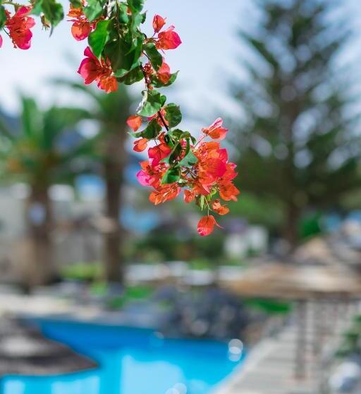 1ベッドルームアパートメント, Alianthos Garden