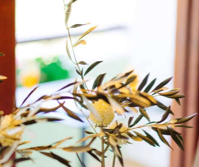 スーペリアトリプルルーム, Alianthos Garden