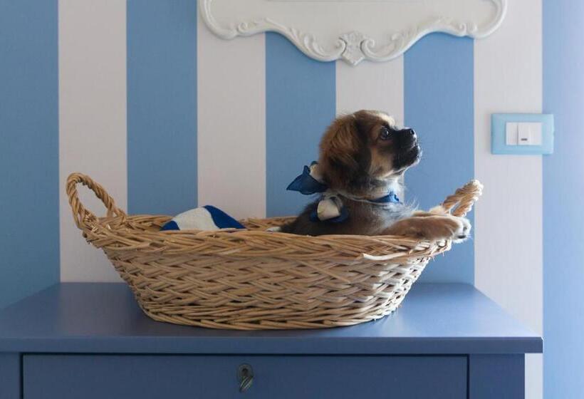 חדר סופריור, Jolie