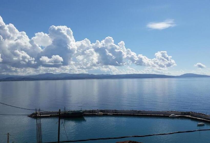 חדר סטודיו סטנדרד, Pallada