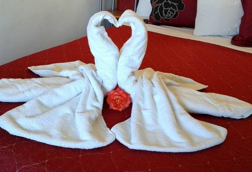 스탠다드 스튜디오, Sun City