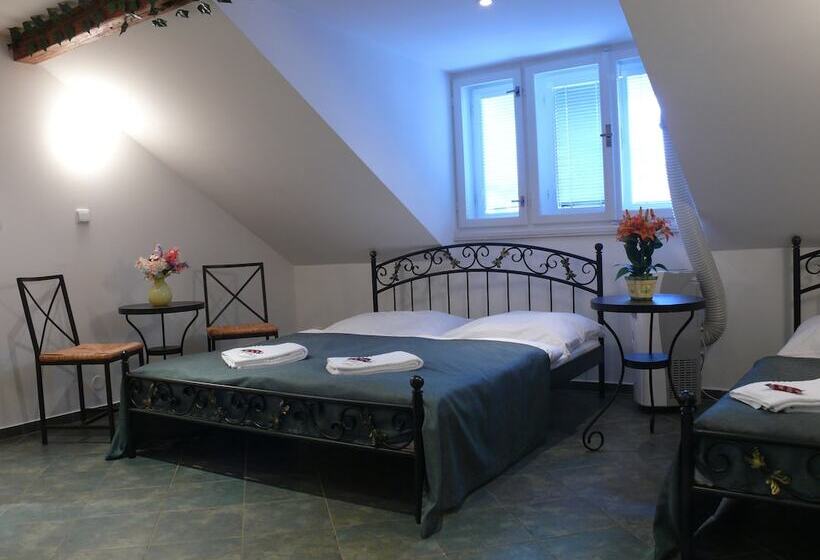 Номер Стандарт, Pension Prague City
