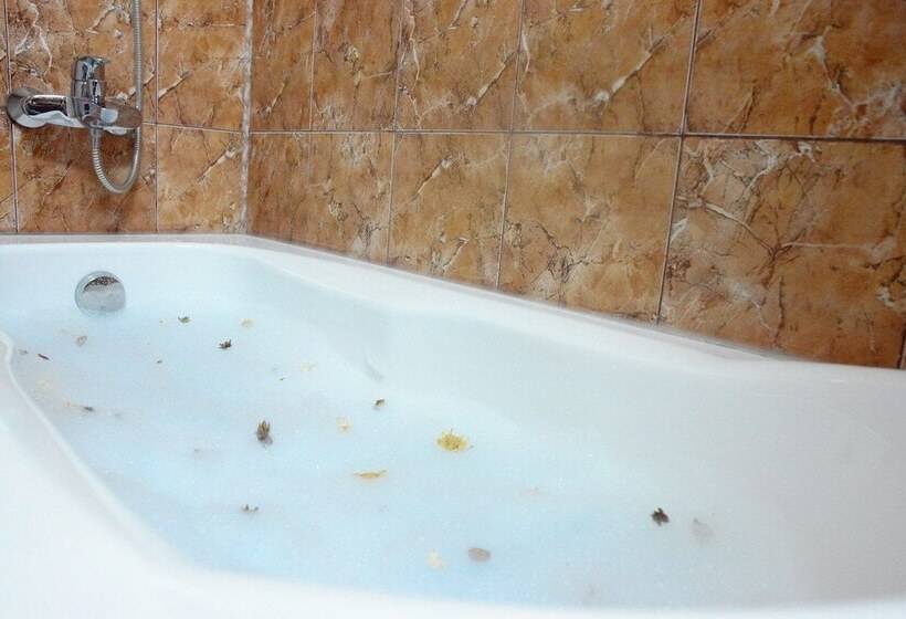 اتاق استاندارد یک نفره, Sir Colentina