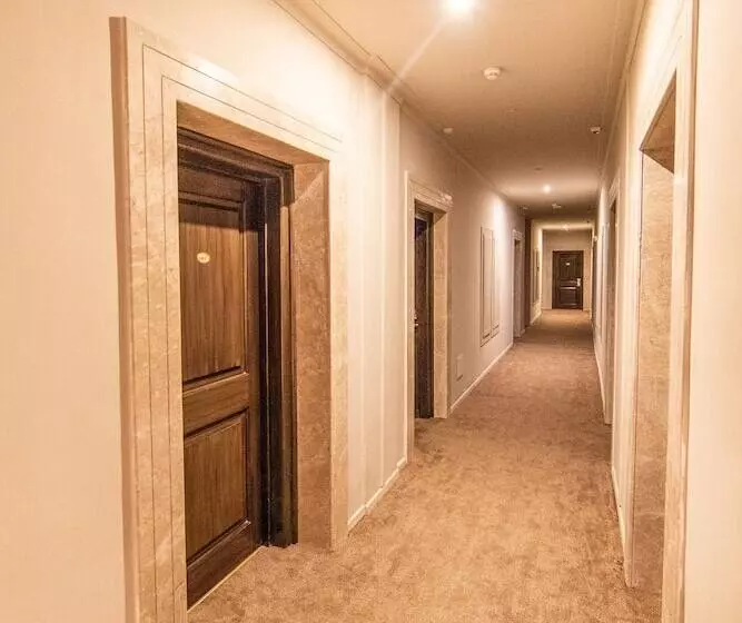 اتاق استاندارد, Acropole Tunis