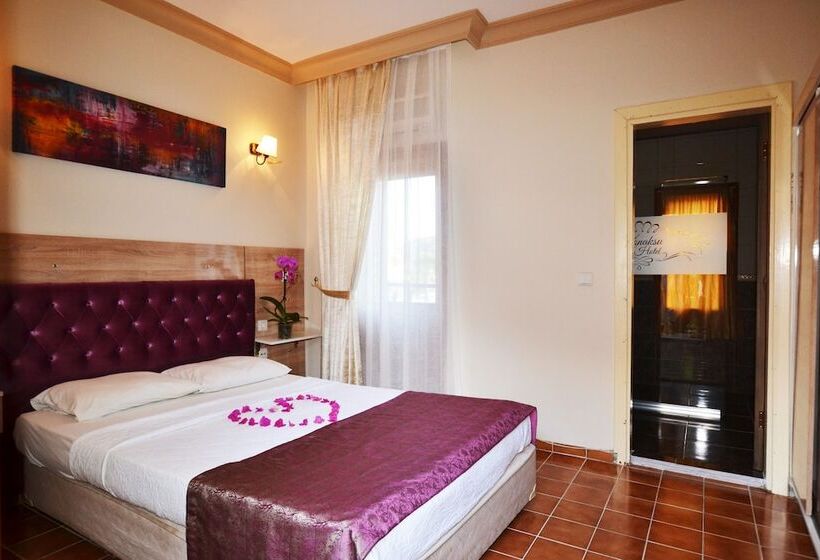 스탠다드 룸, Dalyan Konak Su Otel