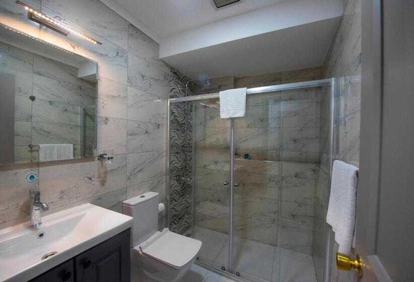 اتاق استاندارد تودرتو, Daphne