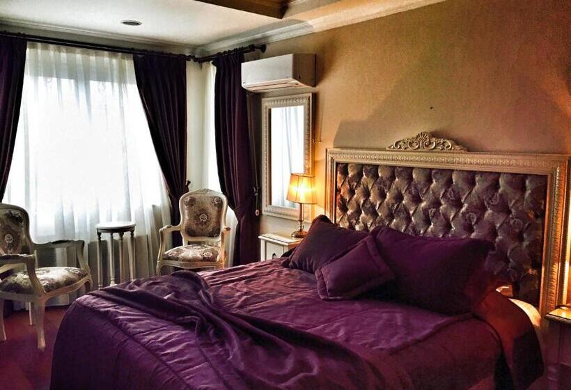 اتاق استاندارد تودرتو, Daphne