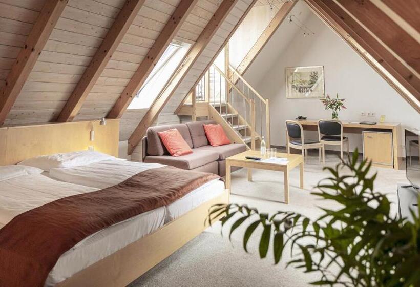 수피리어 싱글 룸, Dom