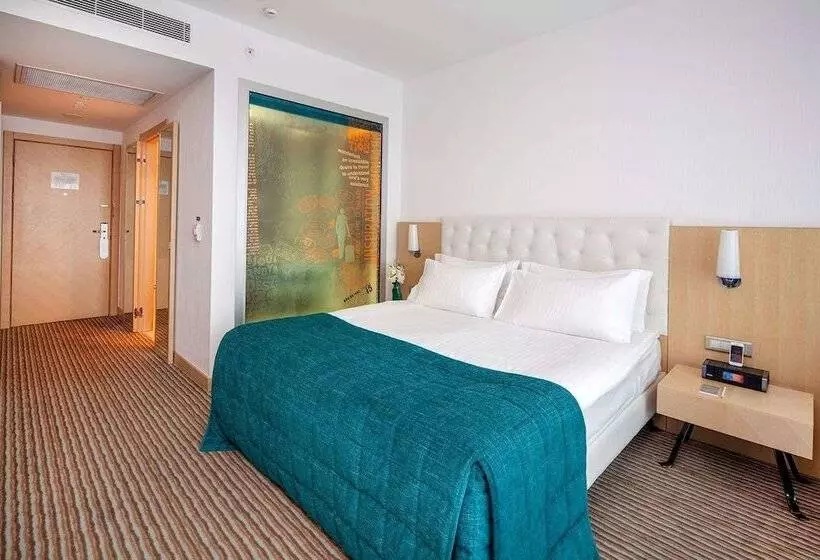 اتاق استاندارد, Wyndham Ankara