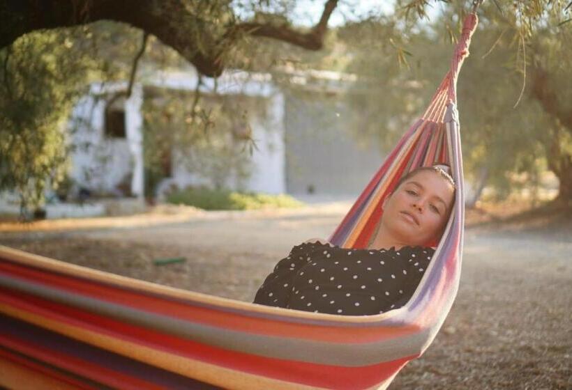 Номер Стандарт, Valle De Oro