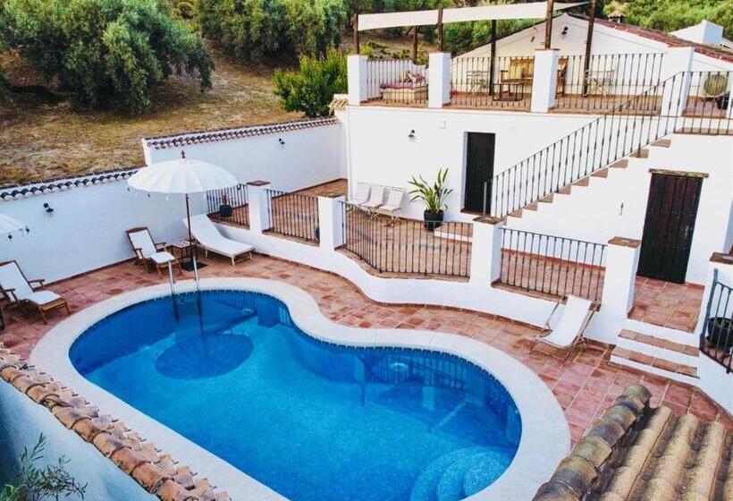 Standard Tent, Valle De Oro