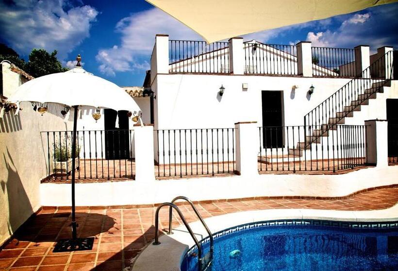 Standard Tent, Valle De Oro