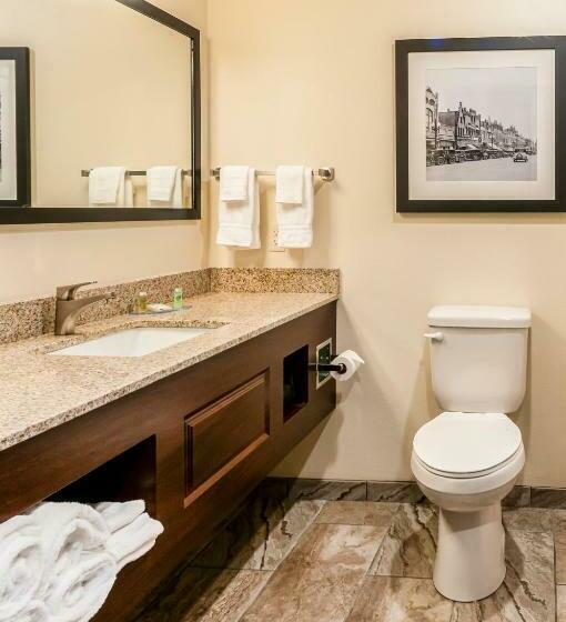 اتاق استاندارد با تخت بزرگ, Cobblestone Hotel & Suites   Superior Duluth