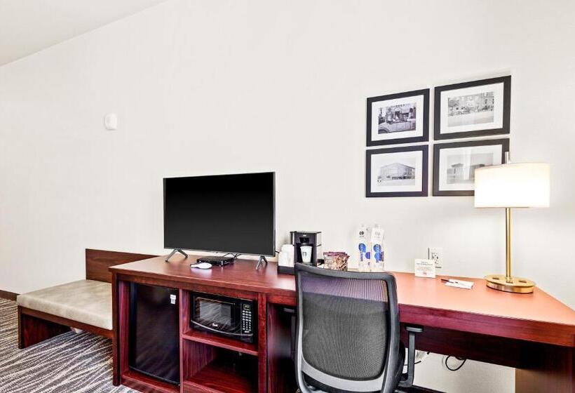 استودیو استاندارد با تخت کینگ, Cobblestone Hotel & Suites   Superior Duluth