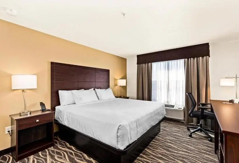 キングサイドベッドのスタンダードワンルーム, Cobblestone Hotel & Suites   Superior Duluth