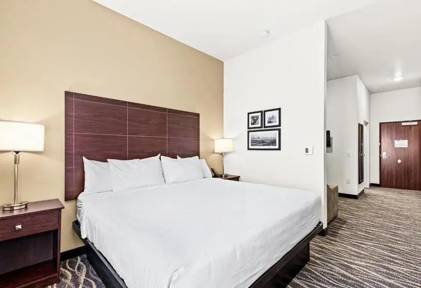 キングサイドベッドのスタンダードワンルーム, Cobblestone Hotel & Suites   Superior Duluth
