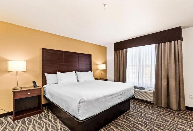 سوییت, Cobblestone Hotel & Suites   Superior Duluth