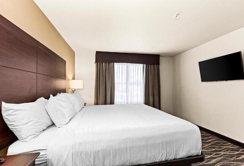 سوییت, Cobblestone Hotel & Suites   Superior Duluth