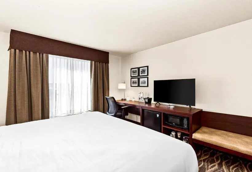キングサイズベッドのスタンダードルーム, Cobblestone Hotel & Suites   Superior Duluth