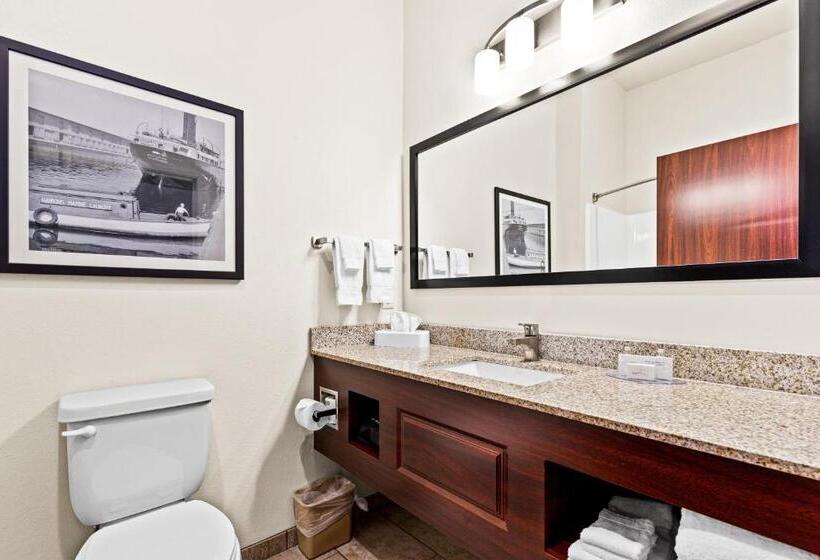 اتاق استاندارد برای معلولان, Cobblestone Hotel & Suites   Superior Duluth