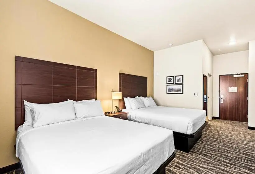 身障者適用スタンダードルーム, Cobblestone Hotel & Suites   Superior Duluth