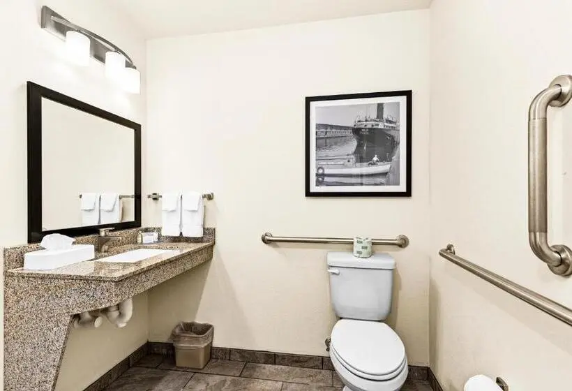 身障者適用キングサイズベッドルーム, Cobblestone Hotel & Suites   Superior Duluth