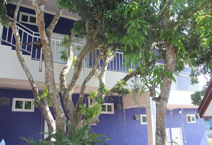 Номер Стандарт, Shin Sane Guest House