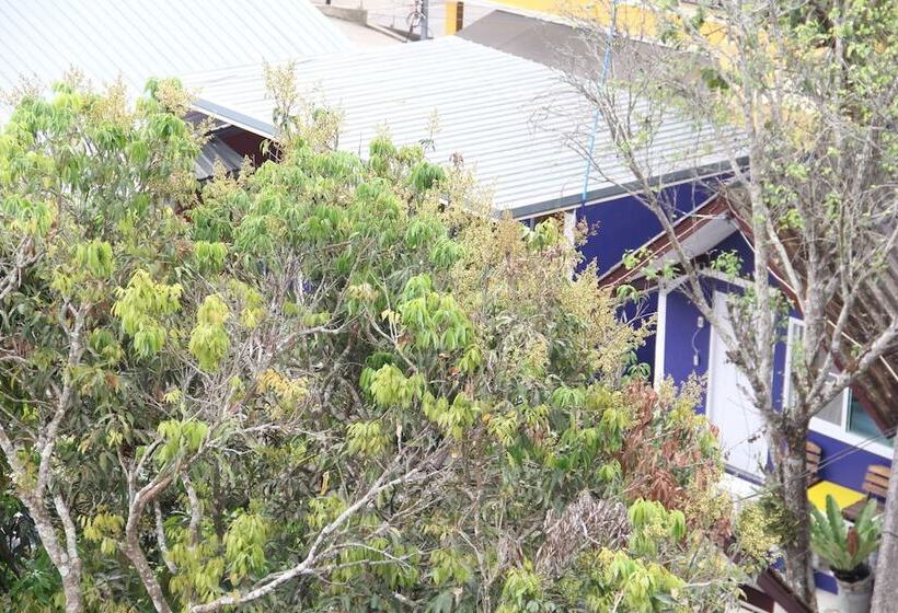 스탠다드 룸 공동 욕실, Shin Sane Guest House