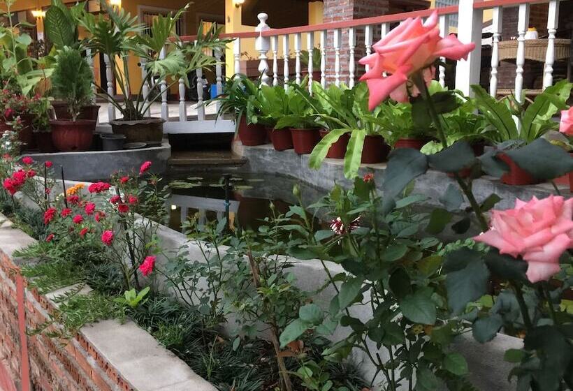 스탠다드 룸 공동 욕실, Shin Sane Guest House