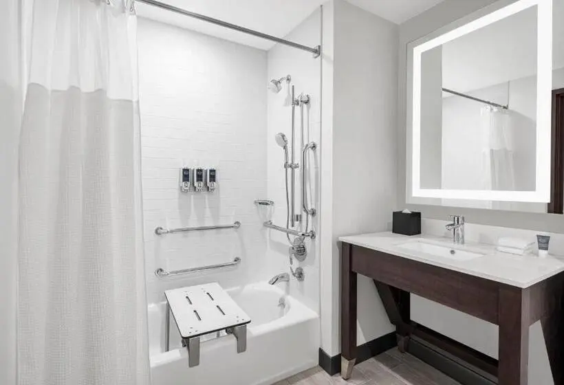 اتاق کلاسیک با تخت دونفره, Four Points By Sheraton Flushing