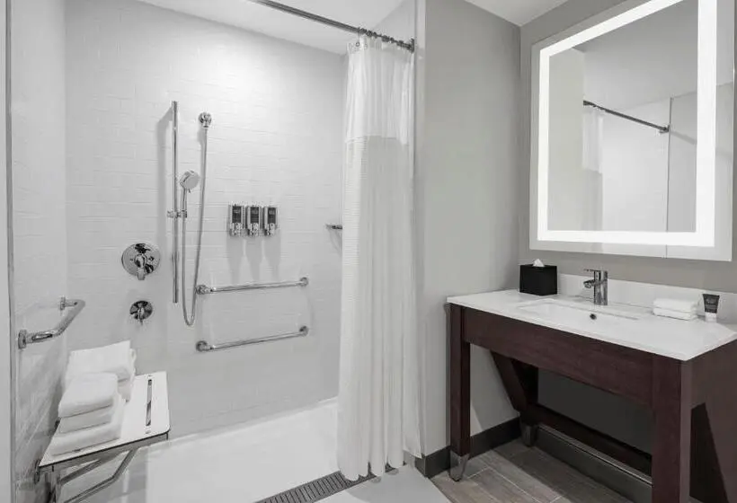 اتاق کلاسیک با تخت دونفره, Four Points By Sheraton Flushing