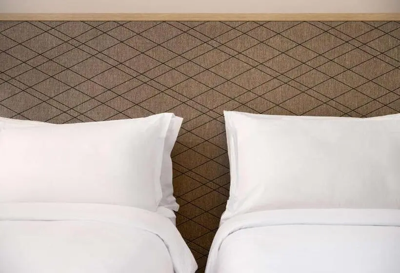エクゼクティブルーム, Radisson Blu Resort Al Hoceima