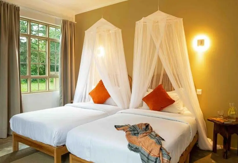 デラックスルーム, The Safari House