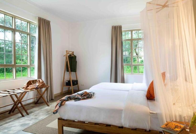 디럭스 룸, The Safari House