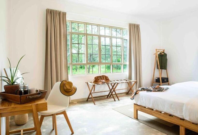 디럭스 룸, The Safari House