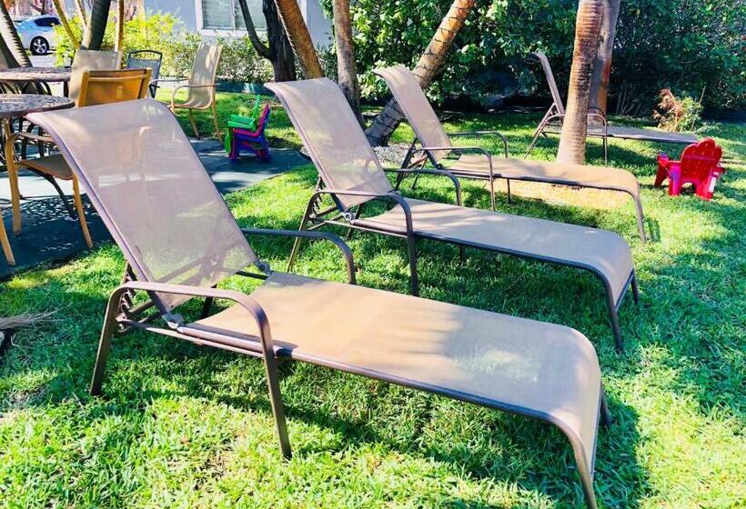 스탠다드 스튜디오, Hollywood Light Haven Lodge