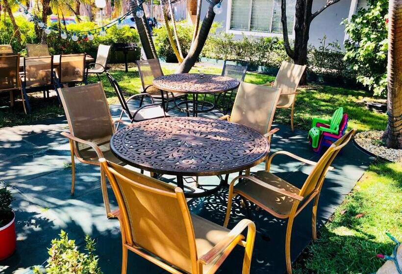 스탠다드 스튜디오, Hollywood Light Haven Lodge