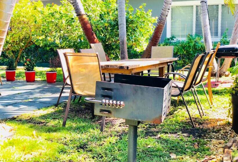 스탠다드 스튜디오, Hollywood Light Haven Lodge