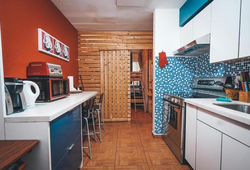 스탠다드 룸, Hollywood Light Haven Lodge