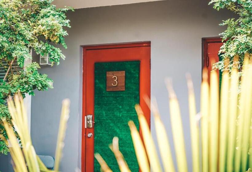 스탠다드 스튜디오 킹침대, Hollywood Light Haven Lodge